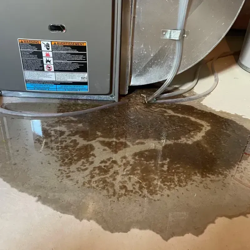 Appliance Leak Cleanup in Wilson, PA